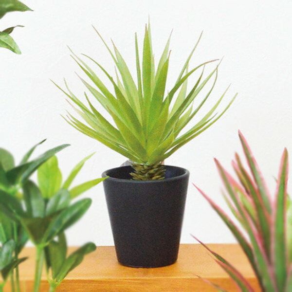 楽天市場】フェイクグリーン ブラックポットTS 光触媒 （ 人工観葉植物