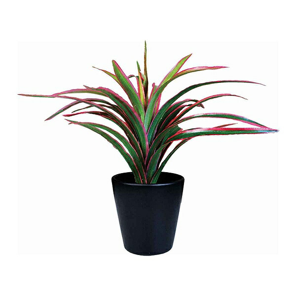 楽天市場】フェイクグリーン ブラックポットTS 光触媒 （ 人工観葉植物