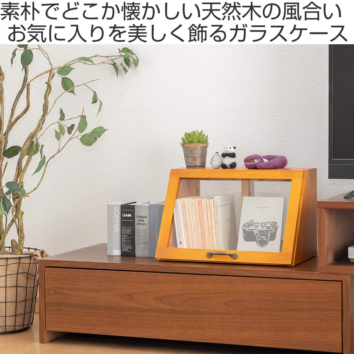 楽天市場】ガラスケース 幅40cm 1段 カウンター上収納 ラック