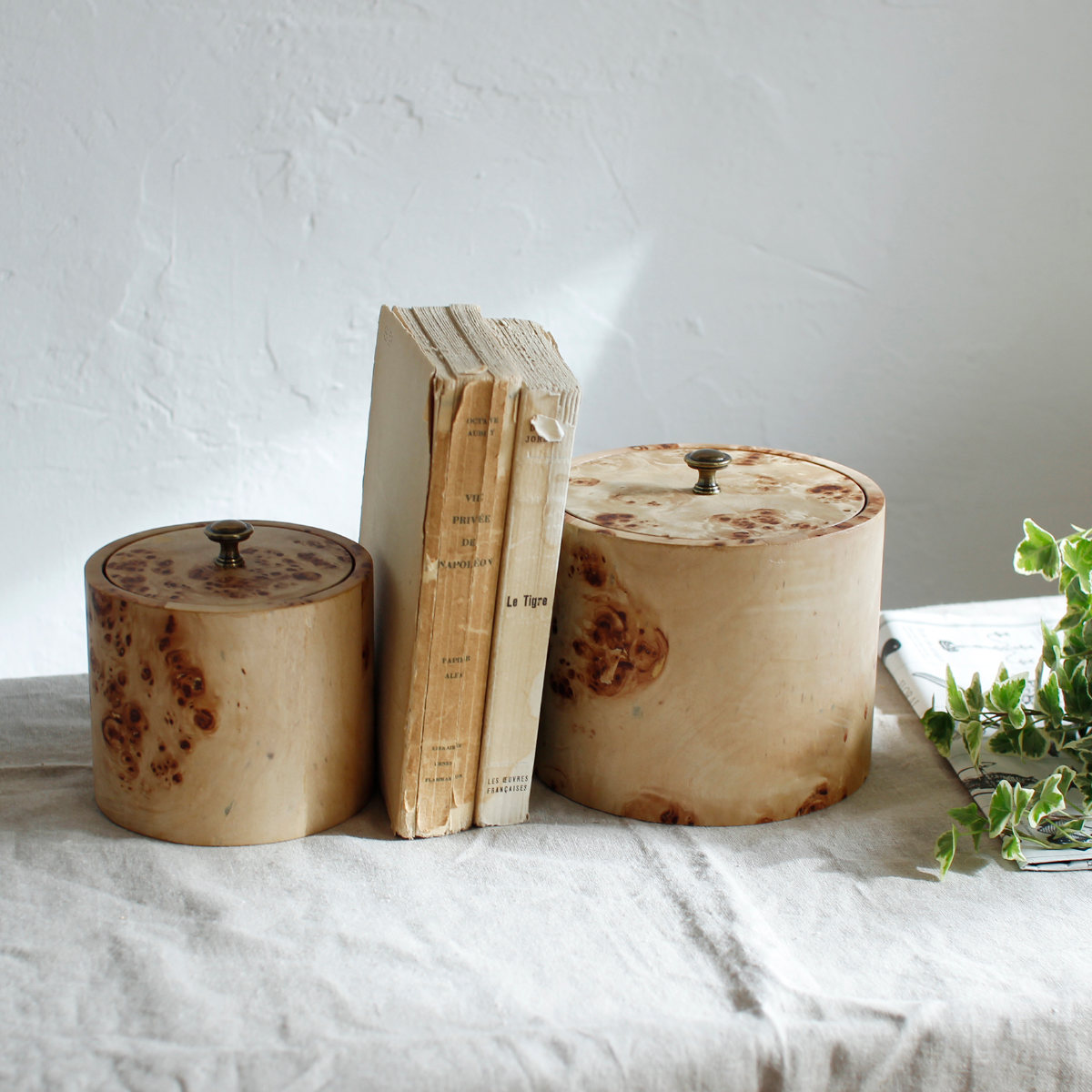 楽天市場】収納ケース バーチバーク 蓋付きポット Lサイズ 小物入れ