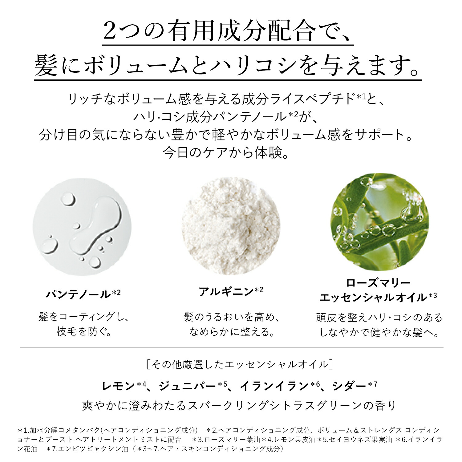 楽天市場】【公式】ロクシタン L'OCCITANE ボリューム＆ストレングス