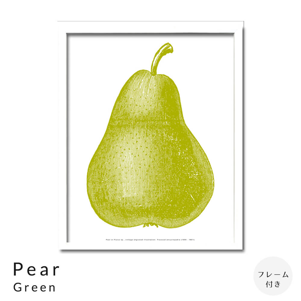 楽天市場】洋梨 ポスターの通販