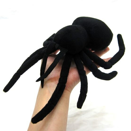 楽天市場】セアカゴケグモ マグネット入り 毒蜘蛛/くも/クモ サイズ