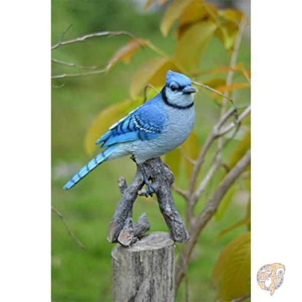 楽天市場】【クーポン配信中】鳥 置物 ブルージェイ 枝に止まった鳥の