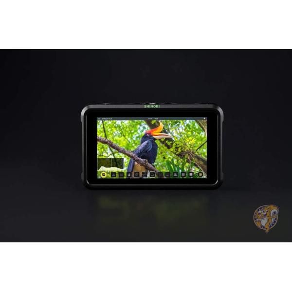 楽天市場】【クーポン配信中】Atomos Shinobi 5インチ HDMI 4K