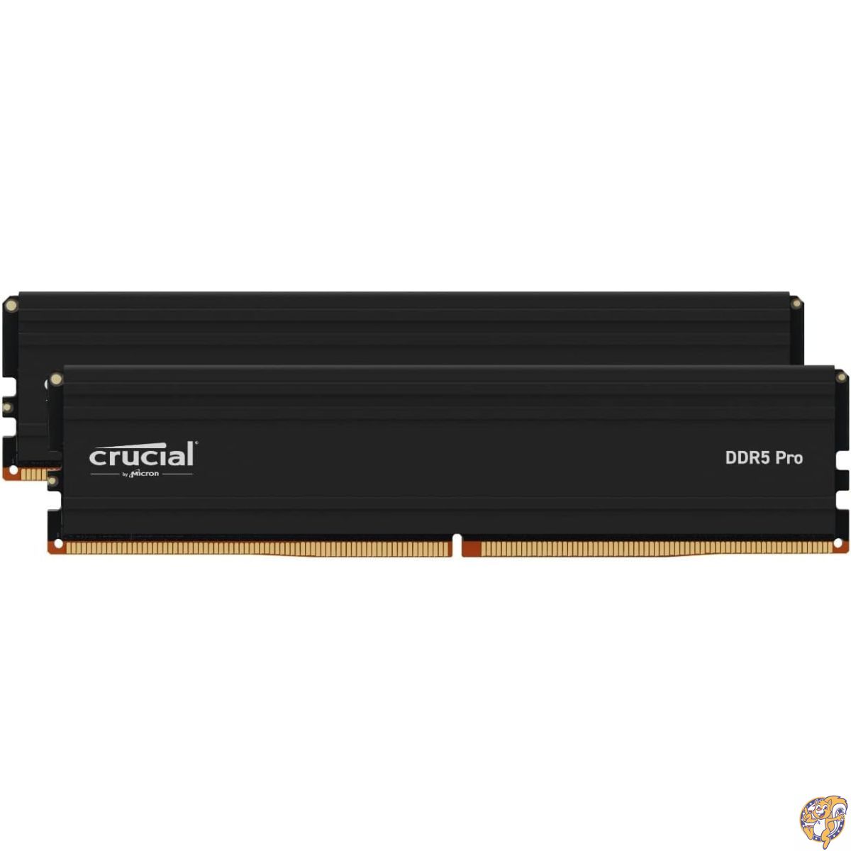 Crucial DDR5 Pro」の人気商品一覧 | 安い商品を通販サイトから探す