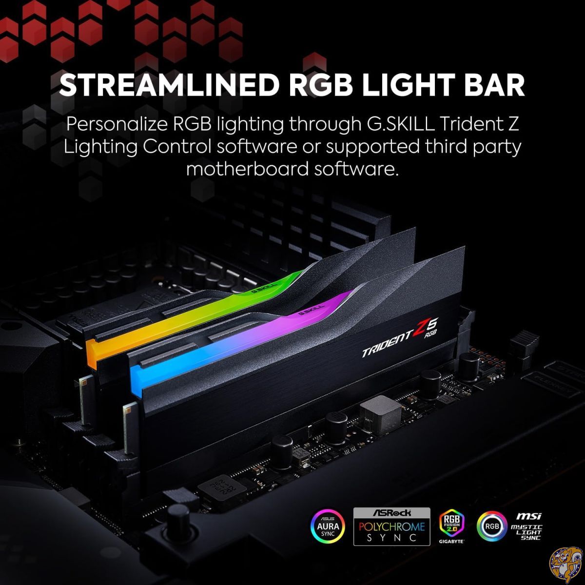 楽天市場】【最大2000円クーポン4日から】G.Skill (ジースキル