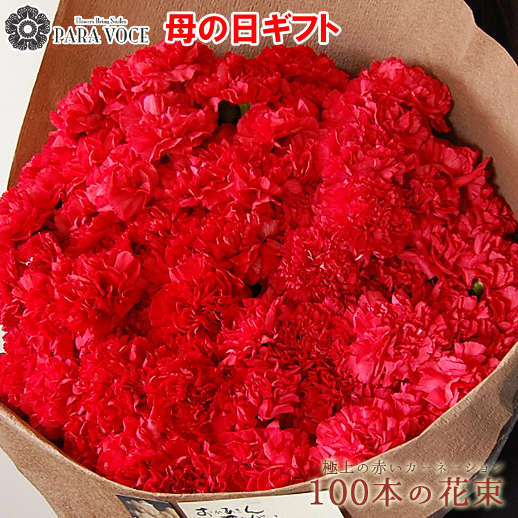 楽天市場】カーネーション 100本（花・観葉植物｜花・ガーデン・DIY
