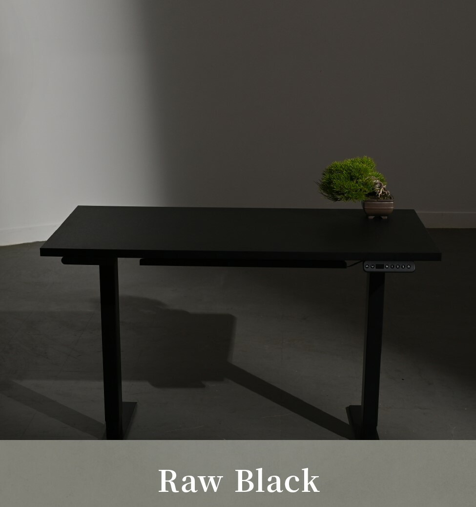 楽天市場】PAXTON 電動式昇降デスク 日本メーカー監修 デュアル