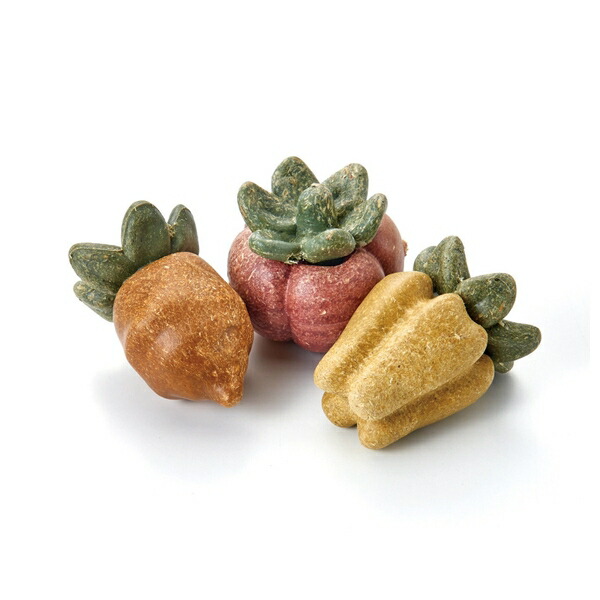 楽天市場】◇マルカン ミニマルランド ナチュラハ デンタルトイ