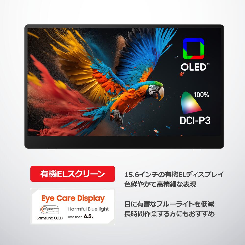 楽天市場】【SS限定14,200円OFF】RICOH Light Monitor 150BW （有機EL