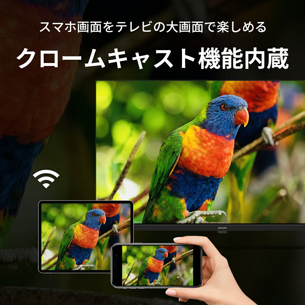 楽天市場】Philips テレビ 50型 チューナーレステレビ ブルーライト