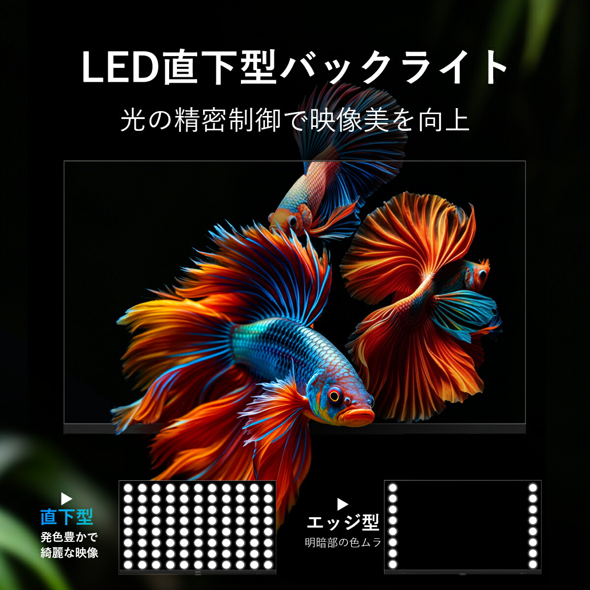 楽天市場】【26%OFF☆ポイントアップ】Philips テレビ 32型 チューナー