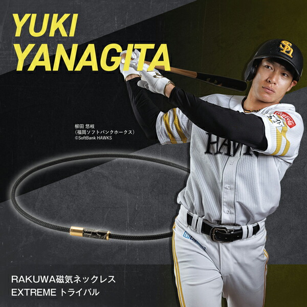 楽天市場】RAKUWA磁気ネックレス EXTREME トライバル(管理医療機器