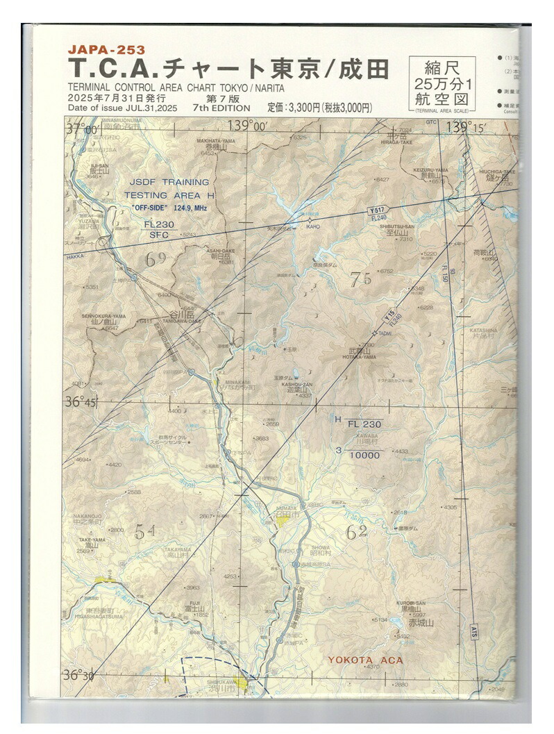 楽天市場】T.C.Aチャート 東京・成田 : パイロットハウスエフエスシーマ