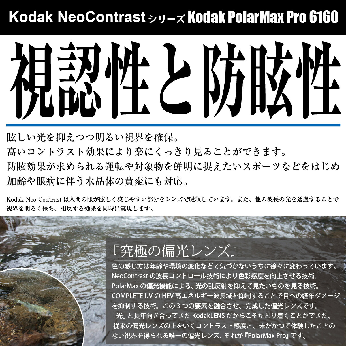 楽天市場】Kodak LENS × SAMURAI SHO サムライ翔 哀川翔 翔サングラス