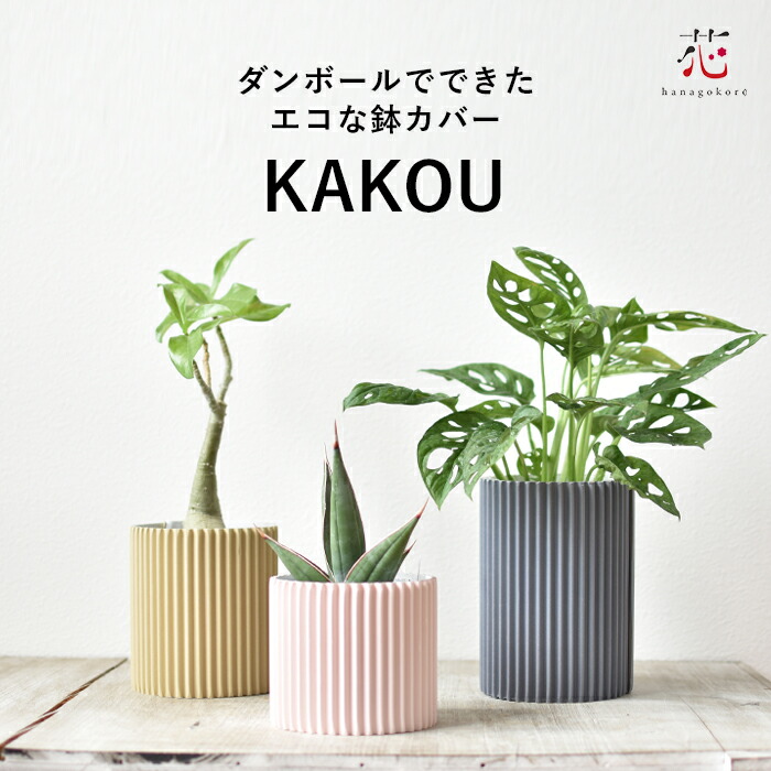 植木鉢 3号」の人気商品一覧 | 安い商品を通販サイトから探す - 価格.com