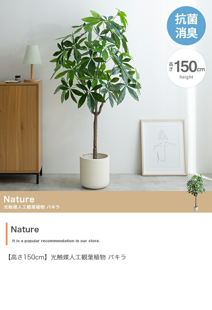 楽天市場】＼クーポン配布中／ パキラ 観葉植物 人工 フェイクグリーン