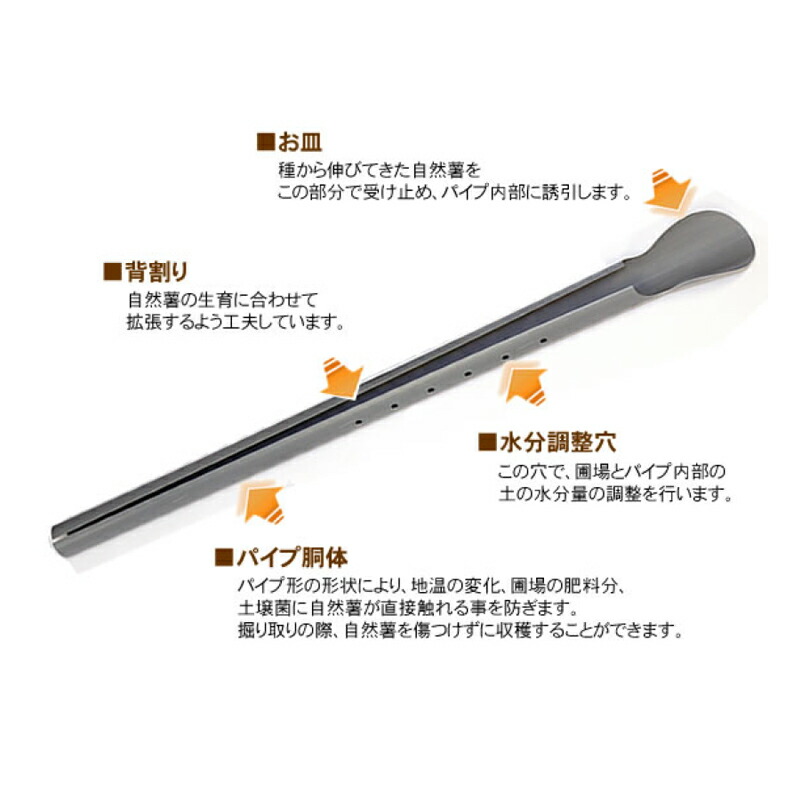 楽天市場】【3/31までエントリーで最大100%Pバック】繰り返し使える 10