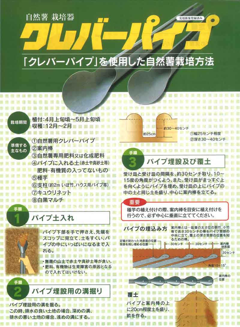 楽天市場】【3/31までエントリーで最大100%Pバック】繰り返し使える 10