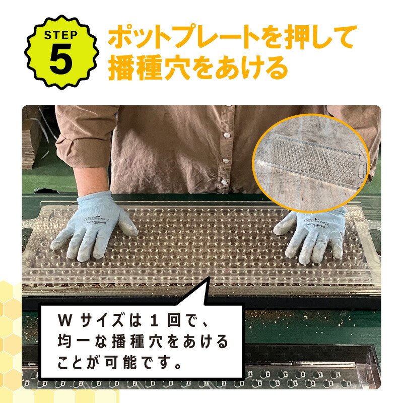 楽天市場】【3/31までエントリーで最大100%Pバック】播種5点セット