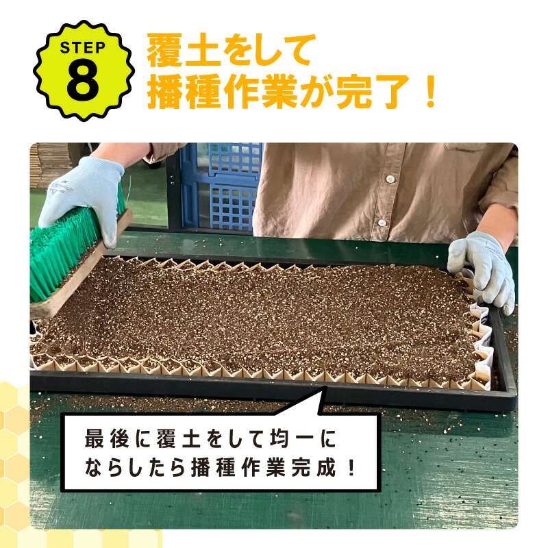 楽天市場】【3/31までエントリーで最大100%Pバック】播種5点セット