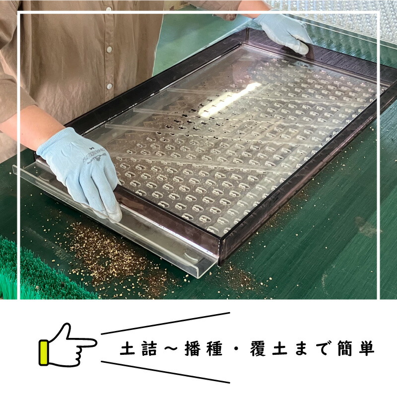 楽天市場】【3/31までエントリーで最大100%Pバック】播種5点セット