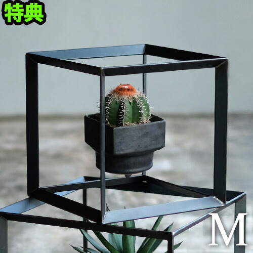 楽天市場】【選べる特典付】アイアン ディスプレイボックス ガーデン
