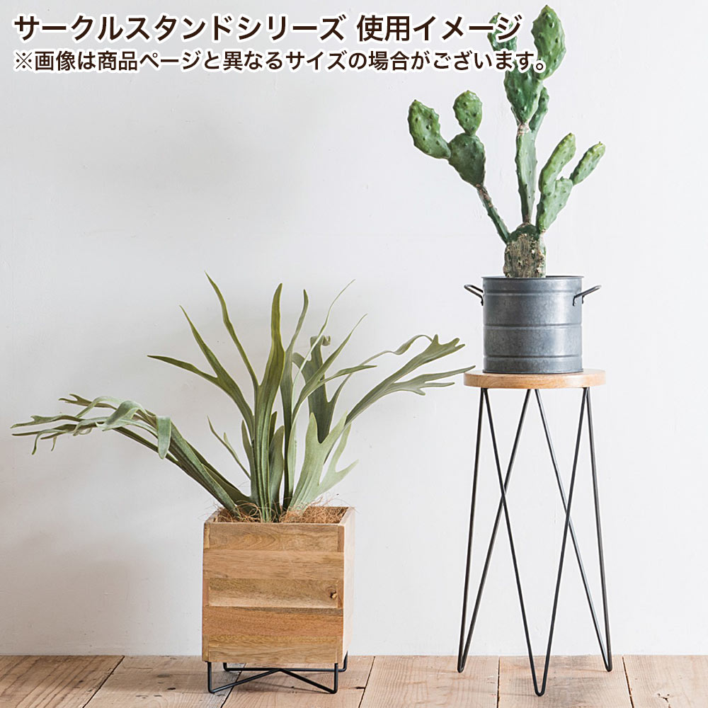 楽天市場】鉢スタンド プランタースタンド ポットスタンド 置台