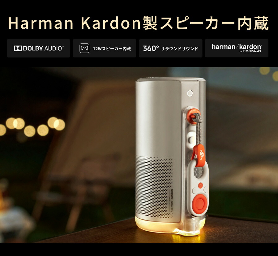 楽天市場】【期間限定15,910円OFFクーポン発行中】Aladdin Poca 専用