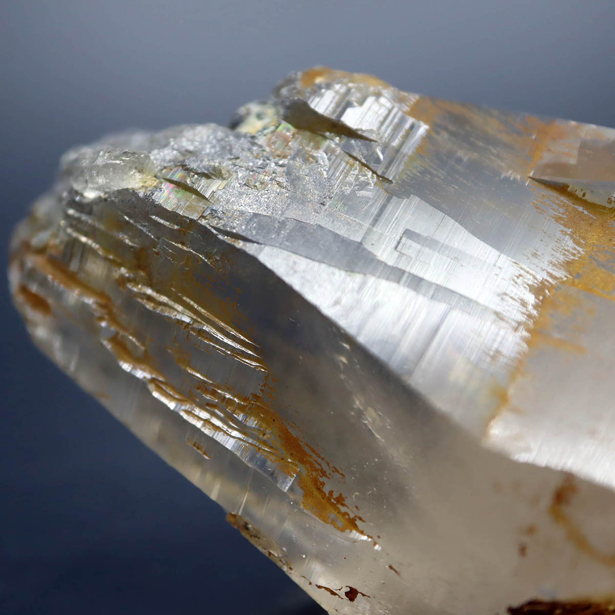 楽天市場】ガネーシュ・ヒマール・ヒンデゥン産 ゴールデンヒーラー