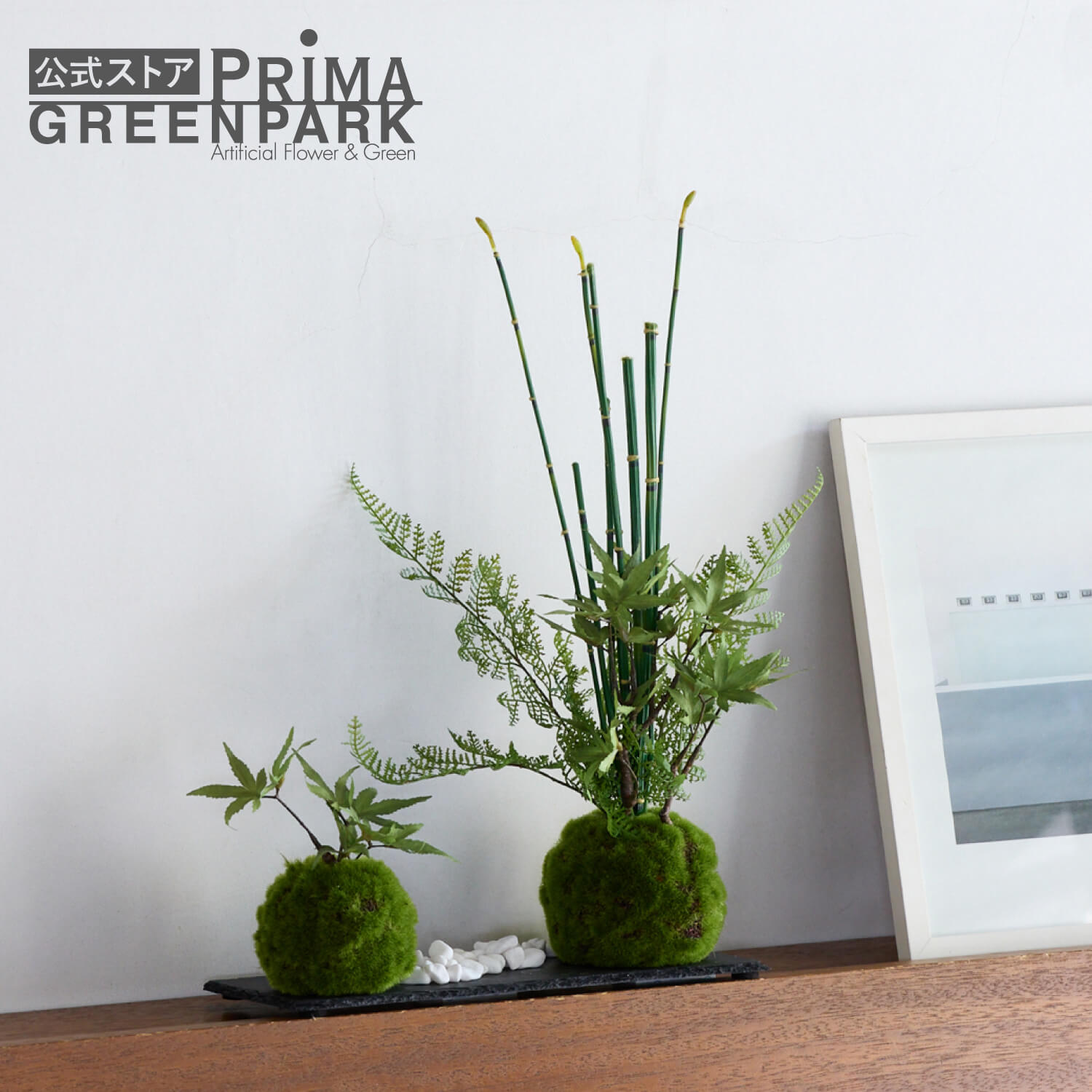 楽天市場】【公式】モミジ 寄せ植え苔玉 黒岩皿 CUPBON 盆栽 フェイク