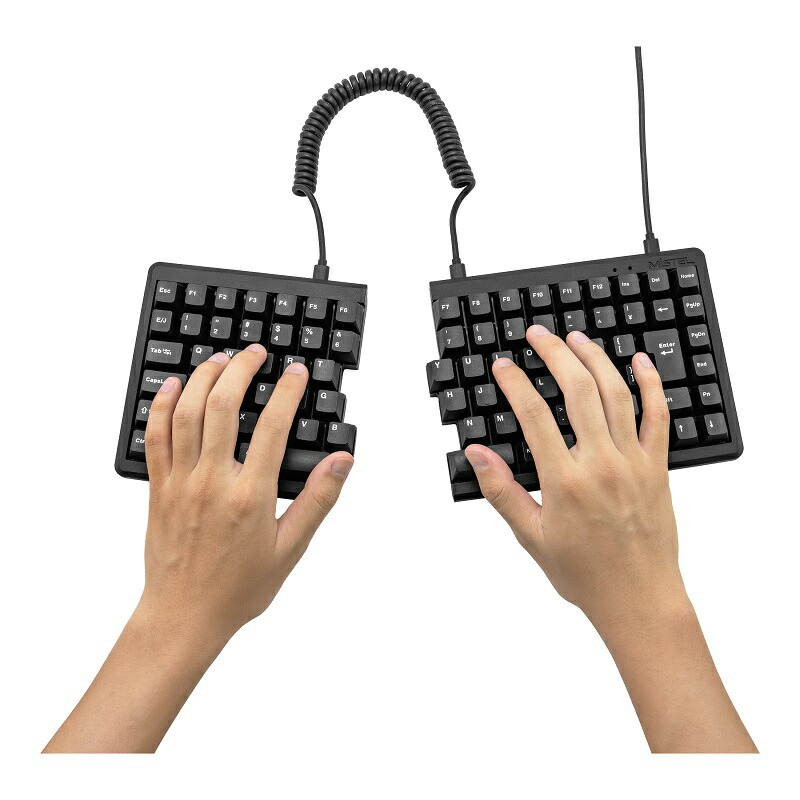 楽天市場】Mistel MD770 JIS 有線 キーボード 日本語 JIS配列 静音赤軸