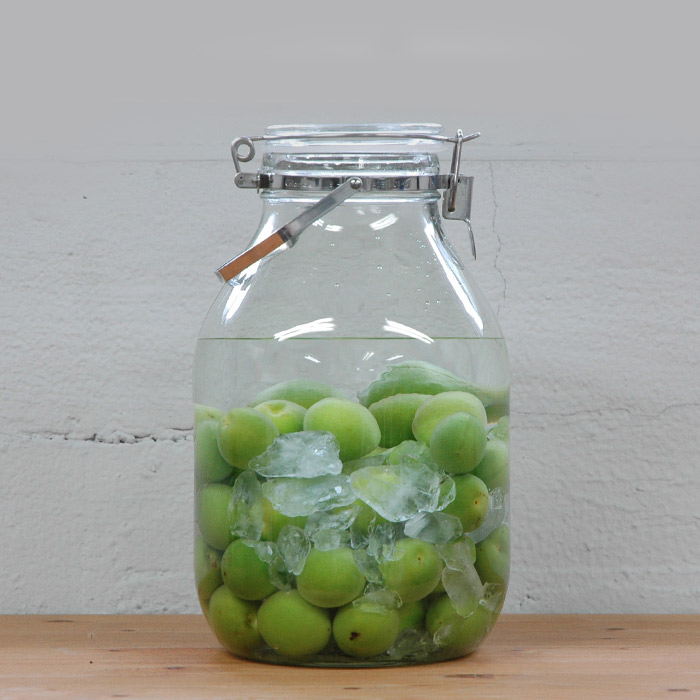 楽天市場】セラーメイト 取手付密封びん 4L / CELLARMATE / 保存容器