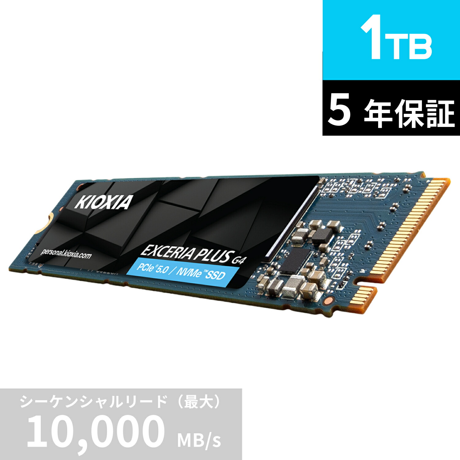 KIOXIA 内蔵 SSD 1TB NVMe M.2 Type 2280」の人気商品一覧 | 安い商品