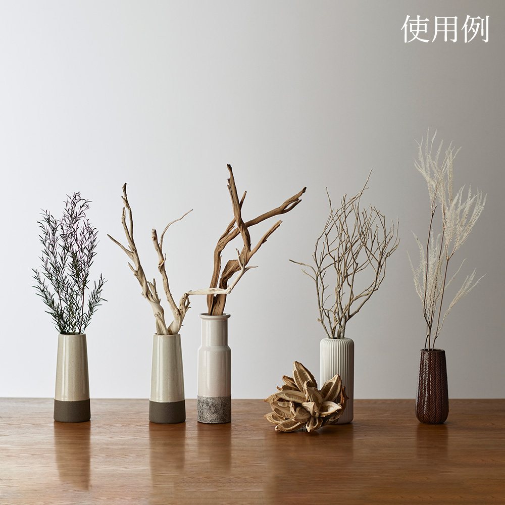 楽天市場】【P15倍中 3/11 9:59まで】 ドライフラワー 花材 即日出荷