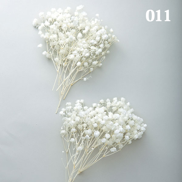 ResinArt❁NICOLE❁様◇ドライフラワー：染色 かすみ草 （844