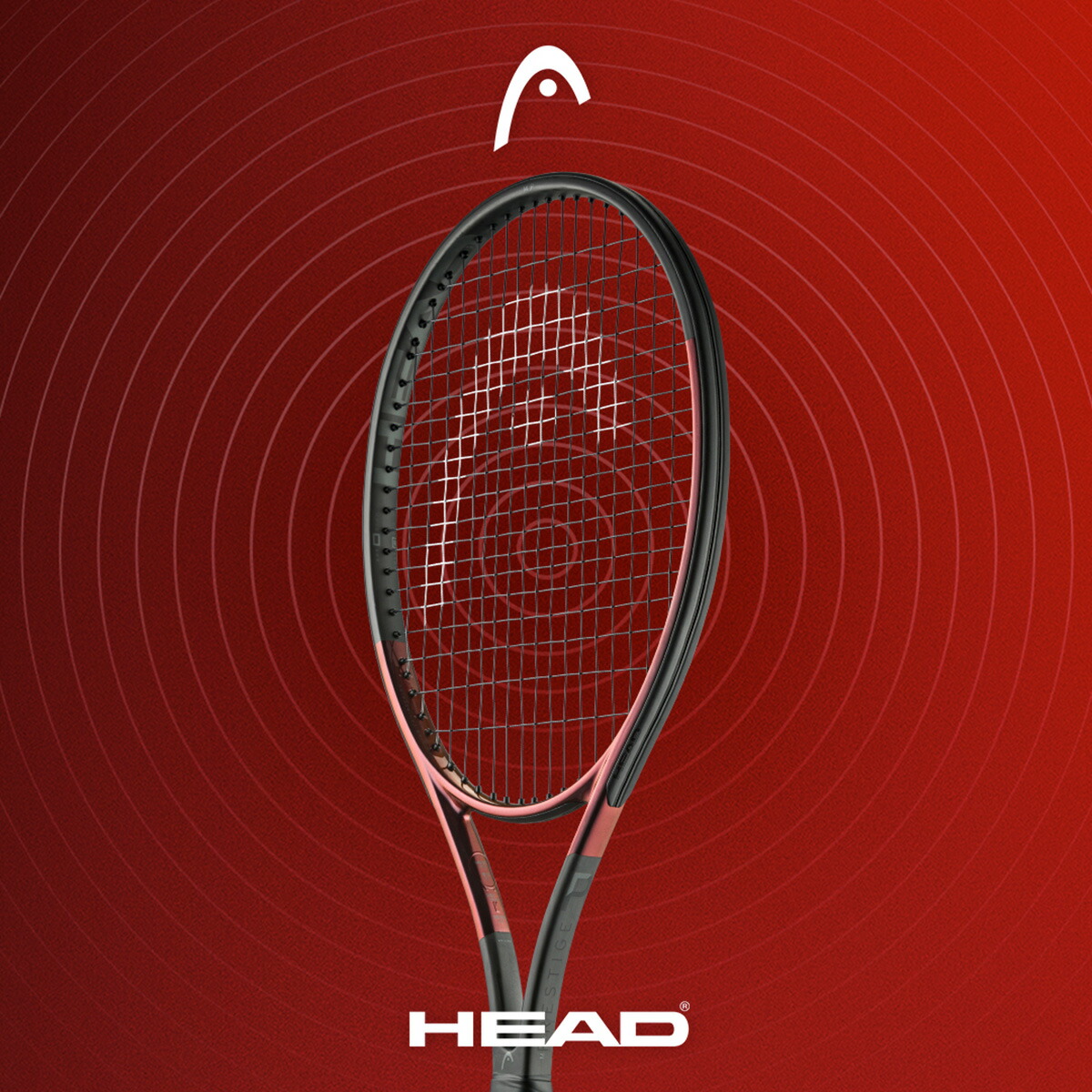 楽天市場】HEAD プレステージMPL 2023 PRESTIGE MPL ヘッド 236133