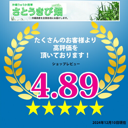 楽天市場】魔除け スイジガイ(水字貝) 紐付き Mサイズ 17cm〜20cm |火