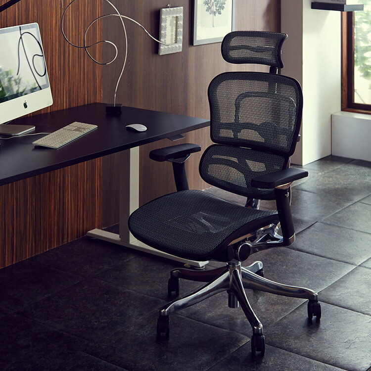 楽天市場】オフィスチェア メッシュ エルゴヒューマン プロハイバック