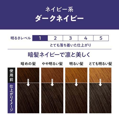 楽天24エクスプレス｜リーゼ 泡カラー ダークネイビー 1セット