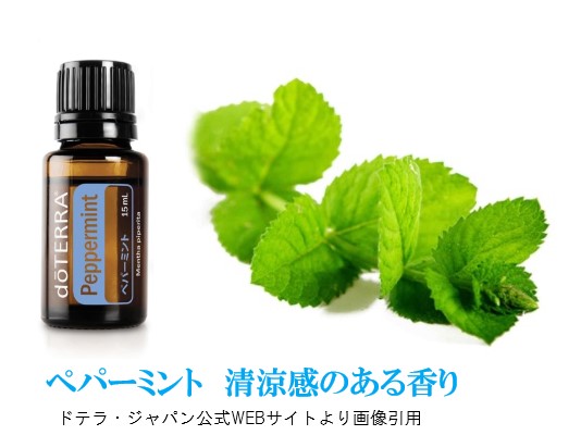 楽天市場】＼10%OFF／ 決算価格 2本セットドテラ アロマオイル オール