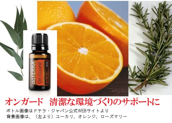 楽天市場】＼10%OFF／ ドテラ アスリートキット ディープブルーラブ