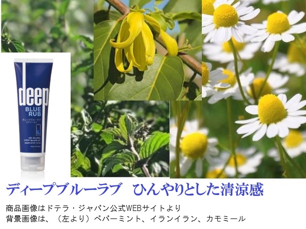 楽天市場】＼クーポン進呈中／ ドテラ ディープブルーラブ クリーム2