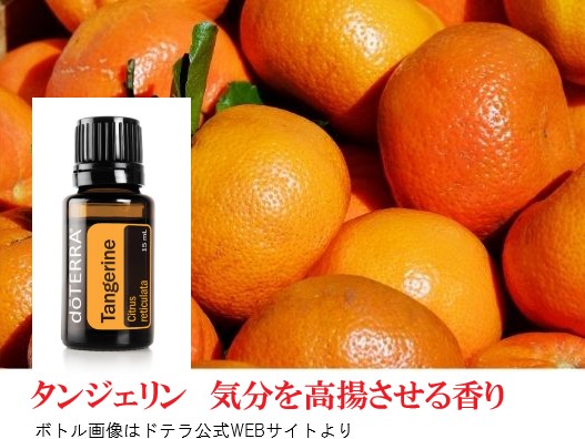 楽天市場】＼クーポン進呈中／ ドテラ アロマオイル タンジェリン 柑橘