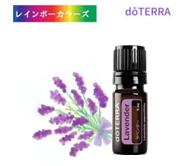 楽天市場】＼10%OFF／ ドテラ ラベンダー お試しサイズ 5ml ドテラ