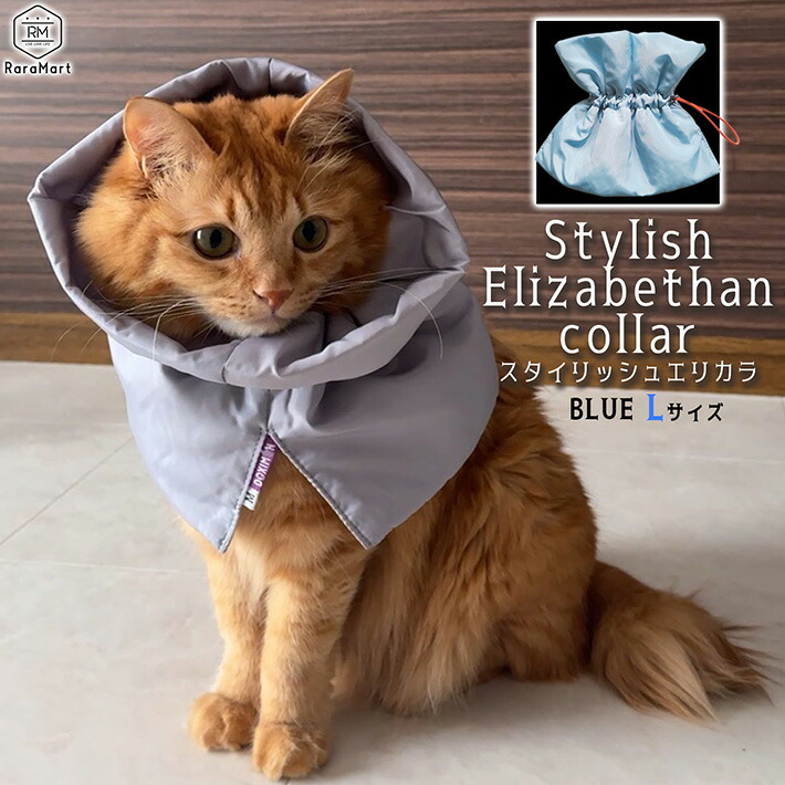 4-ns00700.jpg?fitin=720:720