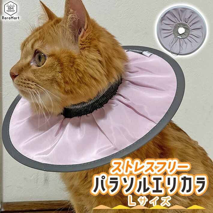 9-ns00701.jpg?fitin=720:720