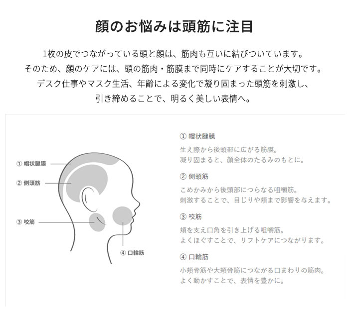 楽天市場】AiMY エイミー ビーブラッシュ BEE BRUSH 電気ブラシ ブラシ