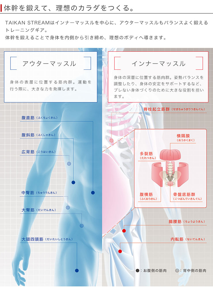 楽天市場】MTG タイカンストリーム スタンダード TAIKAN STREAM